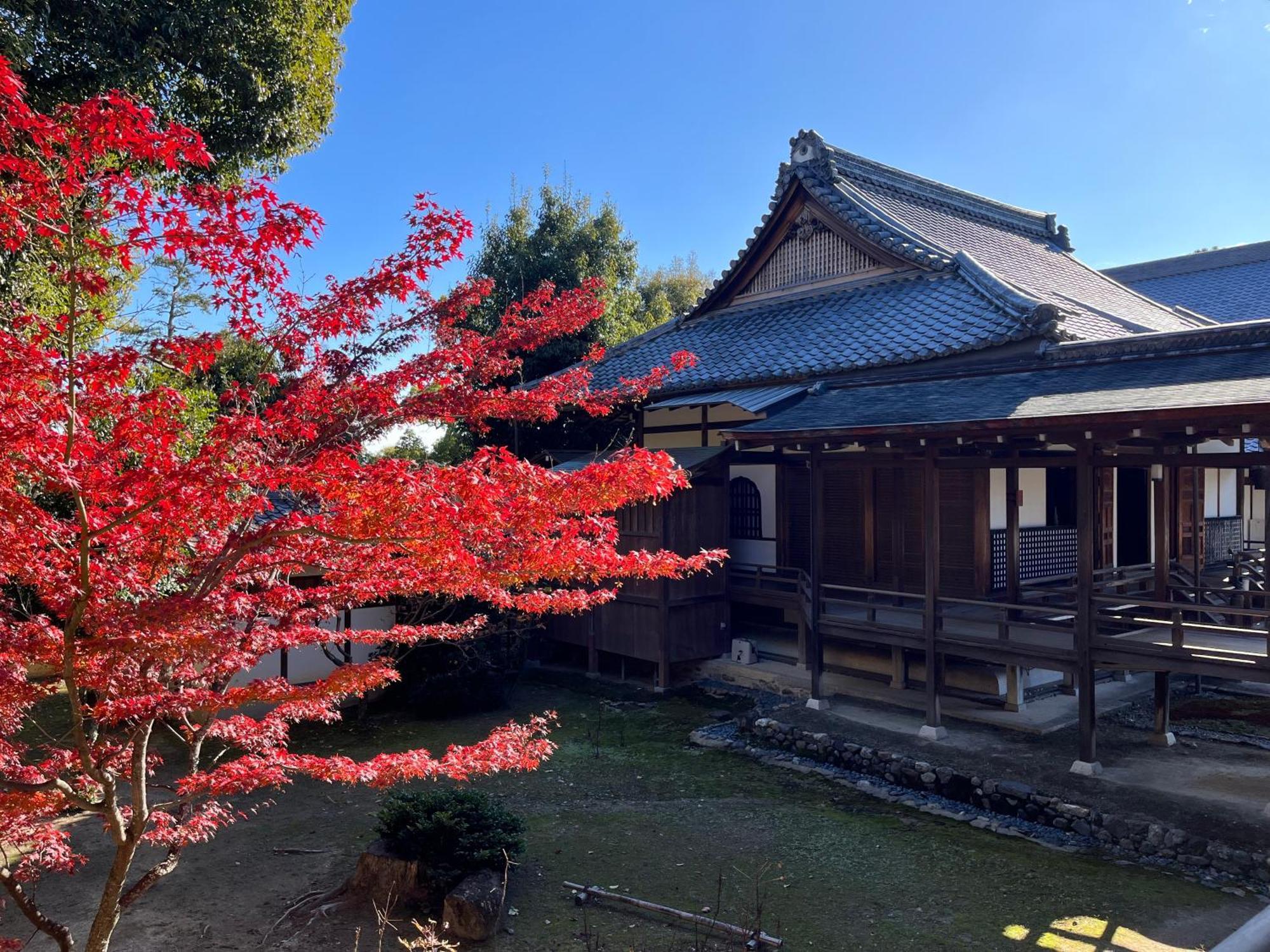 嵐山 天龍の宿 New Open一棟貸切private Villa,Arashiyama Central,Togetsu Bridge 徒歩5Min Shimosaga Exterior photo