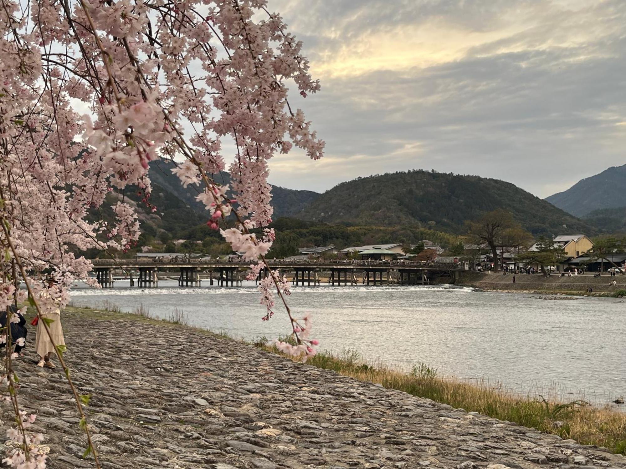 嵐山 天龍の宿 New Open一棟貸切private Villa,Arashiyama Central,Togetsu Bridge 徒歩5Min Shimosaga Exterior photo